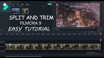 How To Trim and Split Video