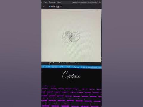 How to make python turtle graphics | Graphics by Python turtle Graphics ...