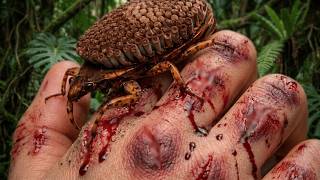 15 Most Venomous Creatures on Earth – One Drop Is Enough