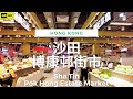 沙田 博康邨街市 4K | Sha Tin - Pok Hong Estate Market | DJI Pocket 2 | 2023.05.15