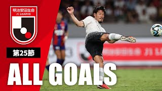 Ｊ１第25節の全ゴールまとめ！ALL GOALS：明治安田生命Ｊ１第25節