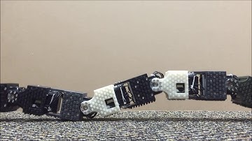 Robotic Snake: Traveling Wave Rectilinear Locomotion