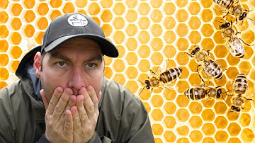 I Left It TOO Late - AGAIN