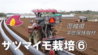 サツマイモ事典 : 起源・伝播・作物特性・品種・栽培・利用・文化 mqdefault.jpg