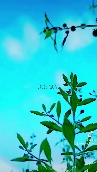 heningnya semesta 🤗 #keindahanalam