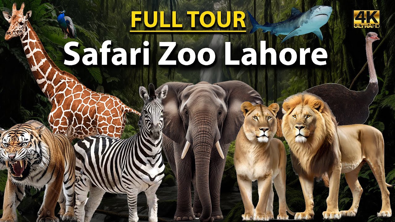 Safari Zoo Lahore After Renovation Lahore Safari Zoo Safari safari-zoo-lahore-after-renovation-lahore-safari-zoo-safari