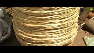 Financial Inclusion drives development | Gramin Money