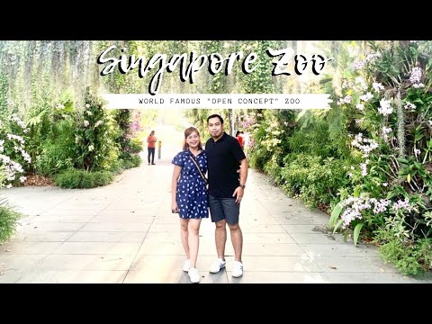 Visiting Singapore Zoo during Pandemic 2021 | WalterNei