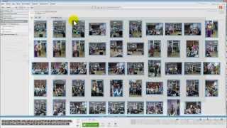 Как делать видео из фотографий в Picasa 3.9. Видеоурок(Обучающее видео о том как сделать видео из фотографий в программе Picasa 3.9/, 2013-03-20T21:35:24.000Z)