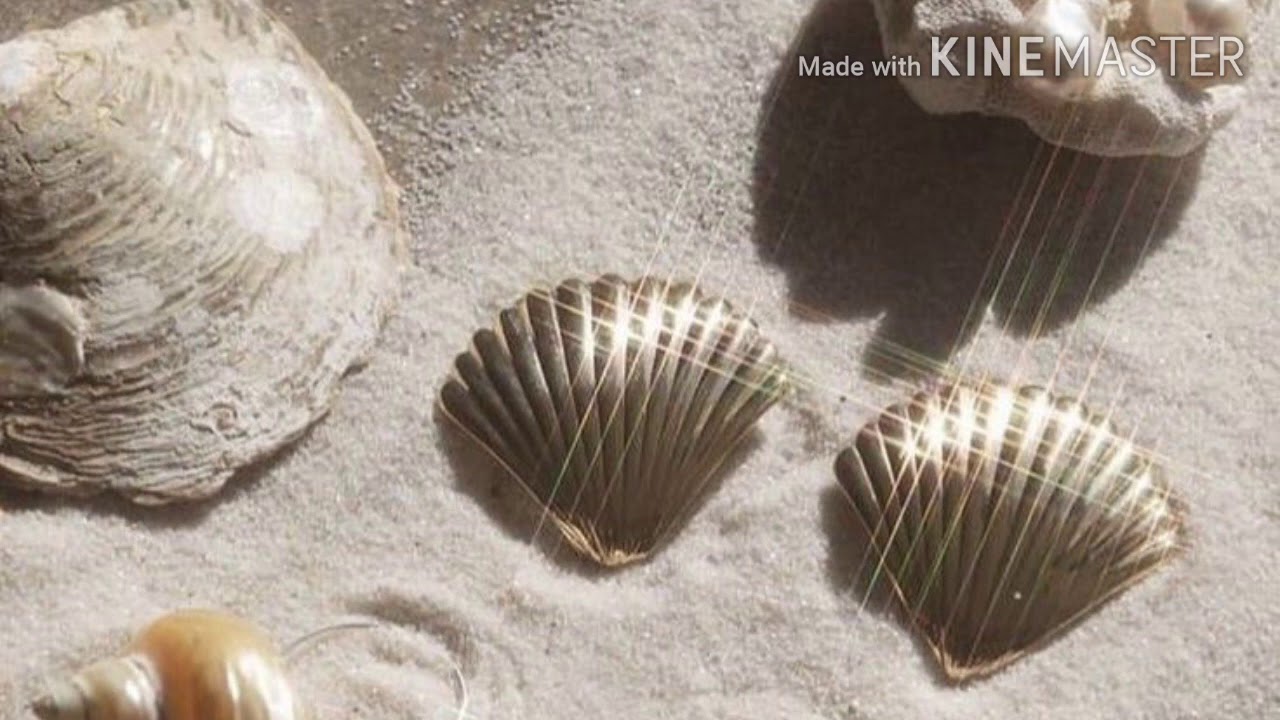 𝑮-𝑰𝒅𝒍𝒆 - 𝑼𝒉-𝑶𝒉 