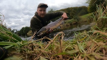 Fast action salmon fishing | Cumbria 2025 