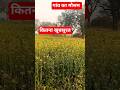 मेरे गांव का मौसम और फसल #video #new
