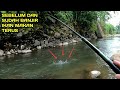 Mancing Sebelum dan Sesudah Banjir Ikan Makan Terus Sangat Rakus #LM05