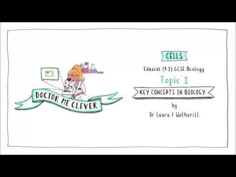 CELLS, Edexcel 9-1 GCSE Biology, Topic 1 Key Concepts in ...