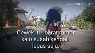 story wa drag# cewek ibarat motor