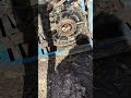 danger snake in water pump