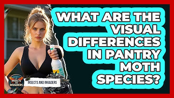 What Are The Visual Differences In Pantry Moth Species? - Insects and Invaders