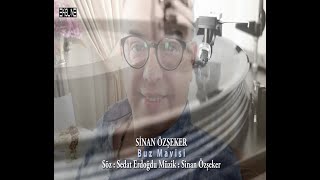 SİNAN ÖZŞEKER / Buz Mavisi Resimi