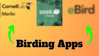 Must-Have Birding Apps For 2025