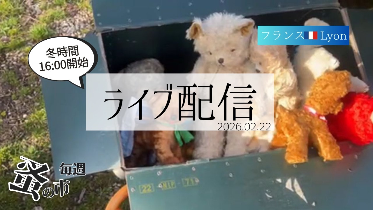 フランスの物価高はどこまで行ってしまうのだろう…？毎週蚤の市🇫🇷Lyonから 2026.02.22 Sunday Brocante in France vol.175