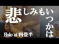 Halo at 四畳半「悲しみもいつかは」ギター弾き語り