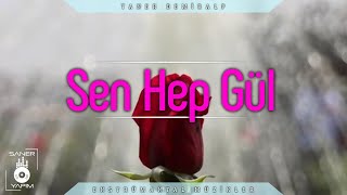 SEN HEP GÜL (ALWAYS SMILE) - Taner DEMİRALP Resimi