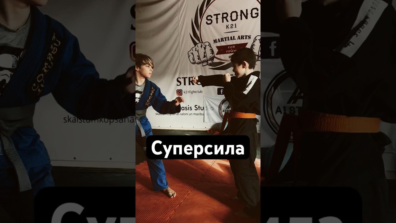 Kung fu panda super hit 