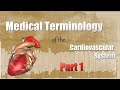 Cardiovascular System Quiz