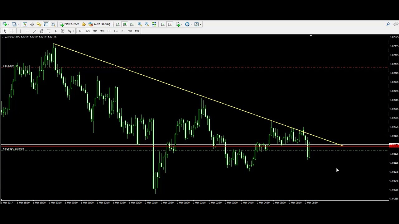 Live Trading Example - Bearish Forex Trend Bounce - YouTube