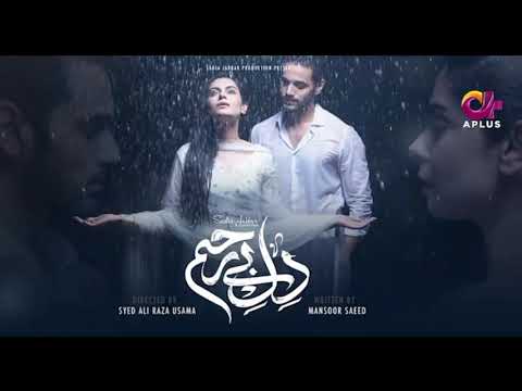 Dil e Bereham full song OST hum tv all song