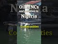 Oil MNCs and pollution in Nigeria  #africa #nigeria #oil #pollution #environment #India #africanews