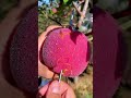 apple cutting video #applecut #fruitcutting
