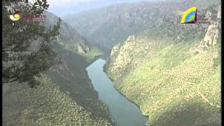 Mieza Centro Qr Adezos