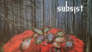 6SISS - Onscreen (SUB.D63)