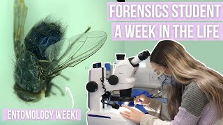 It's Bug Week!!! // Week in the Life of a Forensics Student