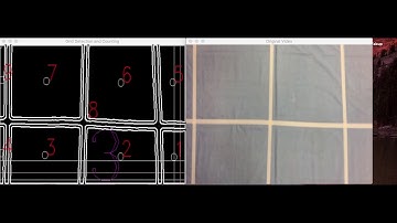 2D Mapping - Grid Counting with OpenCV (Video Processing)