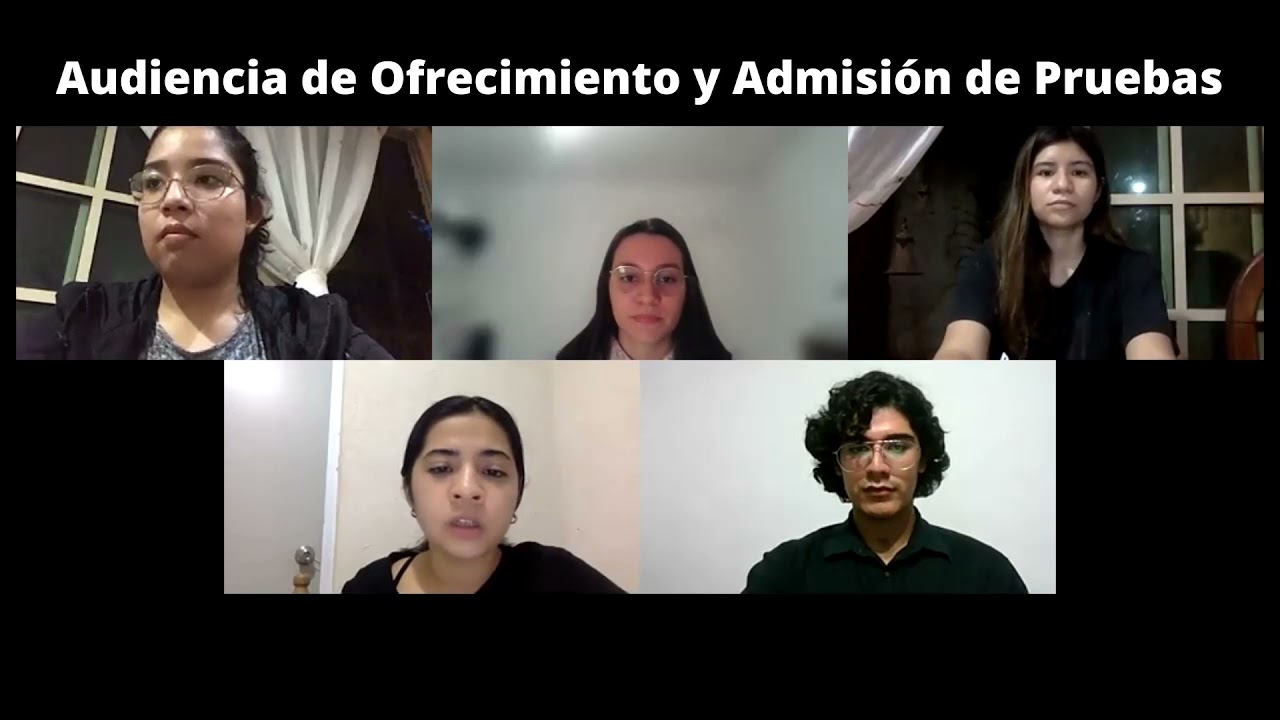 ADA: Audiencia de Ofrecimiento y Admisión de Pruebas - YouTube