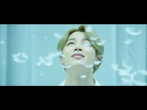 BTS - Dusk Til Dawn ft . Sia ( FMV )