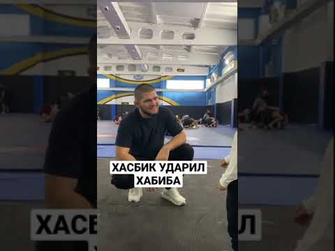 ХАСБИК ударил ХАБИБА?! | Прикол | UFC #shorts