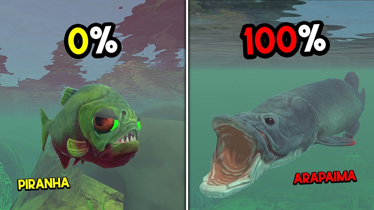 Gue Jadi Ikan PIRANHA SUNGAI Sampai Mendapatkan ARAPAIMA GANAS... Feed And Grow Fish