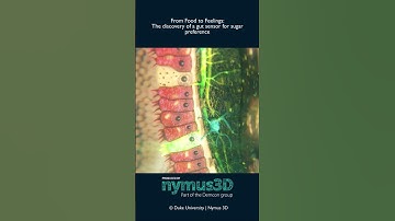 Enjoy your weekly SciArt clip! | Science Animation