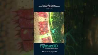 Enjoy your weekly SciArt clip! | Science Animation