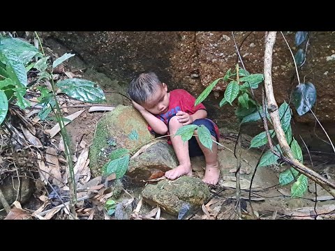 Bekar anne: Kayıp çocuğunu ormanda bulmaya çalışmanın umutsuz yolculuğu - Duong Mi