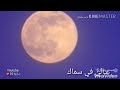 شيلة ياقمر لا تغيب شيلة ياقمر لا تغيب