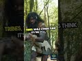 Mysterious Mountain Sounds: Nature's Secrets! #shorts