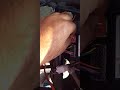 ⚡EV Scooter Band Ho Gayi? Ab Kese ON Kare! 🔋 Pura Step by Step Video Dekho Abhi! #evscooter