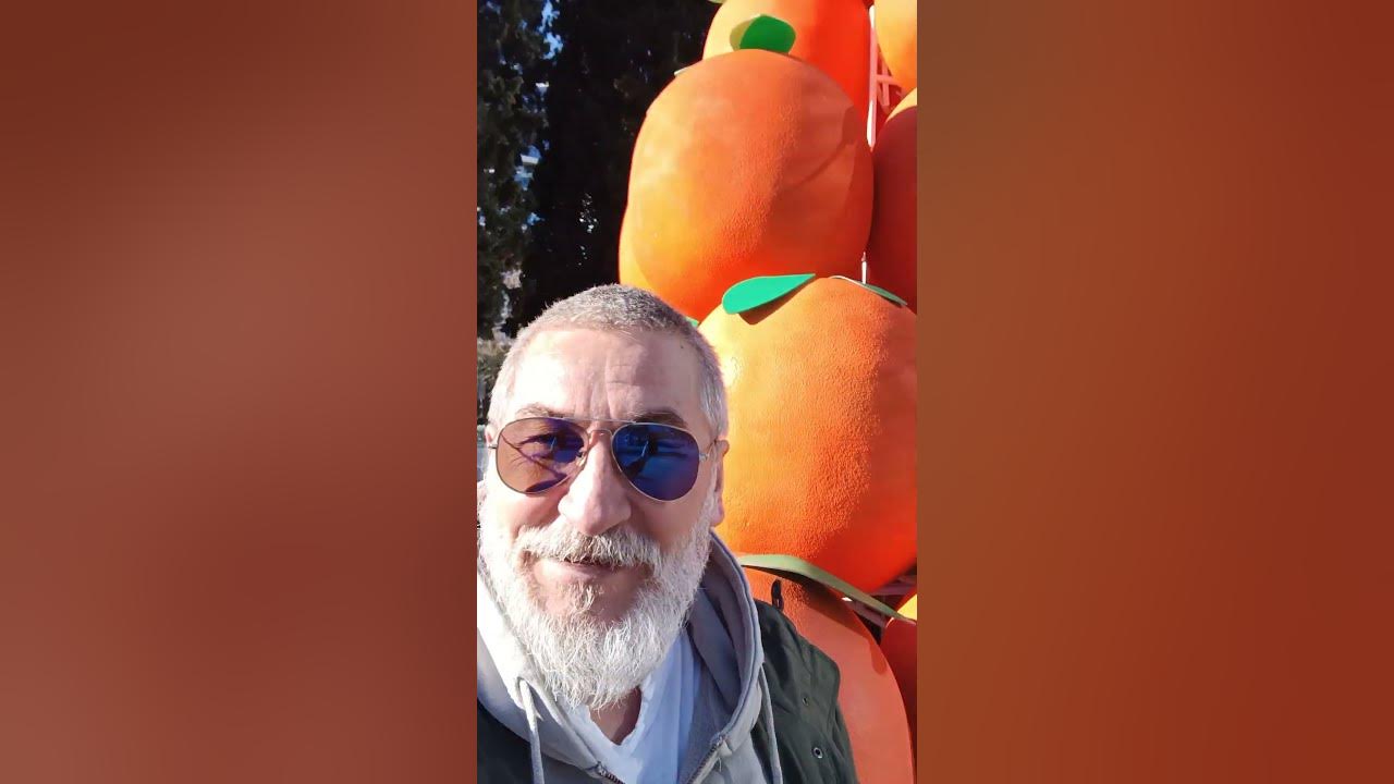 мандарин 2024