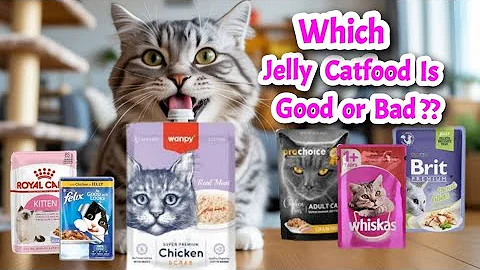 Watch the video about Which Cat Jelly Food Is Best || Jelly Cat Food Comparison || Cat Jelly Food Good Or Bad