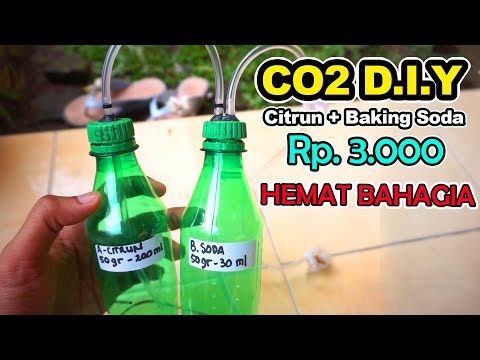 Cuma Rp. 3.000 | Cara Sederhana Membuat CO2 DIY Aquascape Citrum Backing Soda