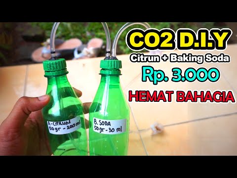 Cara Membuat Co Aquascape